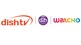 Dish TV Elevates User Experience with Pioneering Voice Search Feature on the 'My Dish TV App'